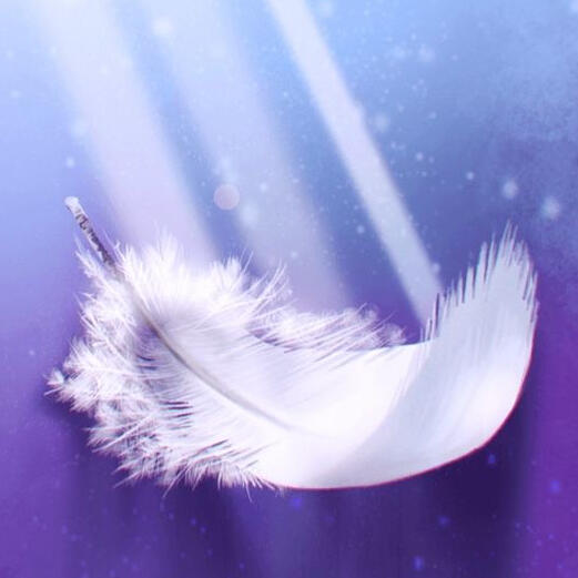 The Soul BookShop & The Soul Library